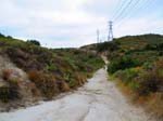 serrano_whiting_aliso_IMG_1352