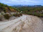 serrano_whiting_aliso_IMG_1353