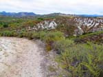serrano_whiting_aliso_IMG_1354
