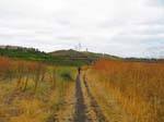 serrano_whiting_aliso_IMG_1363