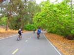 serrano_whiting_aliso_IMG_1368